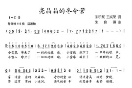 亮晶晶的冬令营简谱