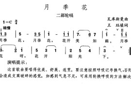 月季花简谱