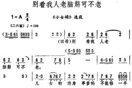 别看我人老脑筋可不老（《小女婿》选段）简谱