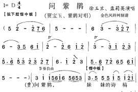 问紫鹃《红楼梦》简谱