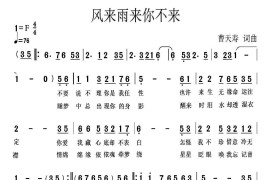 风来雨来你不来音乐简谱