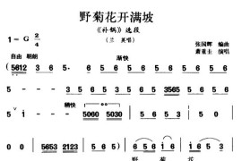 野菊花开满坡（湖南花鼓戏唱段）简谱