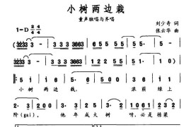 小树两边栽简谱