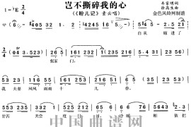 岂不撕碎我的心简谱