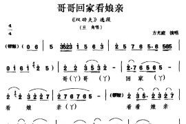 [睦剧]哥哥回家看娘亲（《双劝夫》选段旦角唱）简谱