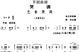 [芗剧曲调]乞食哭调（选自《月里寻夫》）简谱