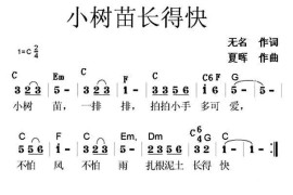 小树苗长得快简谱