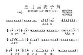 [泗州戏]五月里麦子黄（八句《娃子》唱段）简谱