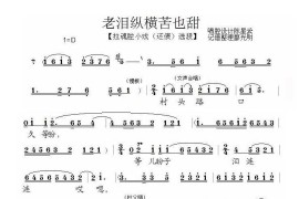 老泪纵横苦也甜（泗州戏（还债）选段）简谱