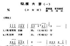 [扬剧曲牌]种大麦（小女婿/刘海砍樵/十月）简谱