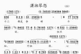 潇湘琴怨(5)简谱