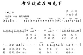 希望绽放在阳光下简谱