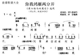 你我鸿雁分两开简谱