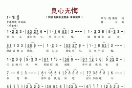 良心无悔（同名电视剧主题曲）简谱