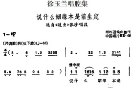 徐玉兰唱腔集：说什么姻缘本是前生定（选自《追鱼》张珍唱段）[越剧唱谱]音乐简谱