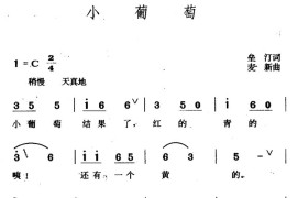 小葡萄简谱