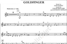 Goldfinger简谱