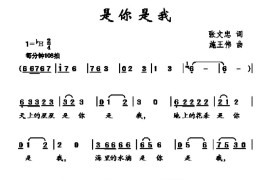 是你是我（张文忠词施王伟曲）简谱