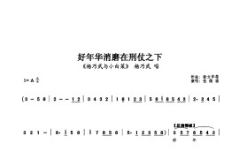 好年华消磨在刑仗之下简谱