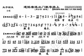 遭陷害逃出门飘零路上1简谱