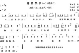 摔镜架调（一[《王二姐思夫》唱段]）简谱