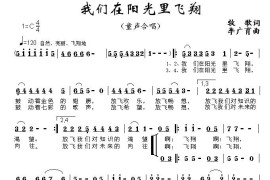 我们在阳光里飞翔简谱