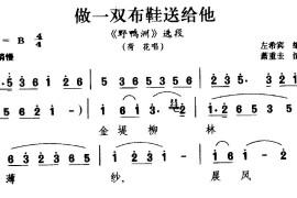 [湖南花鼓戏]做一双布鞋送给他（《野鸭洲》选段荷花唱）简谱