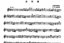 成柱解（筒箫、五线谱）音乐简谱