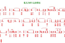 花儿为什么这样红简谱