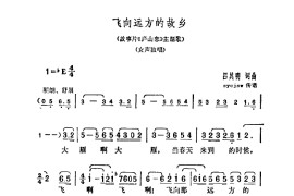 飞向远方的故乡（庐山恋插曲）简谱