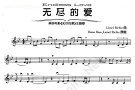 《ENDLESSLOVE》(无尽的爱)电影主题曲简谱