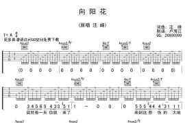 汪峰《向阳花》吉他谱_给女儿的歌_弹唱谱完整版简谱