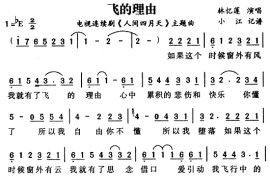 飞的理由简谱